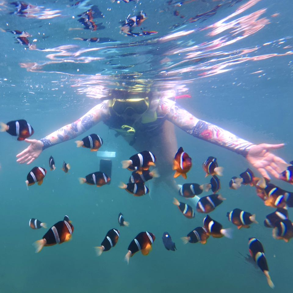 (HK) NEMO Clownfish Snorkelling Guided Tour