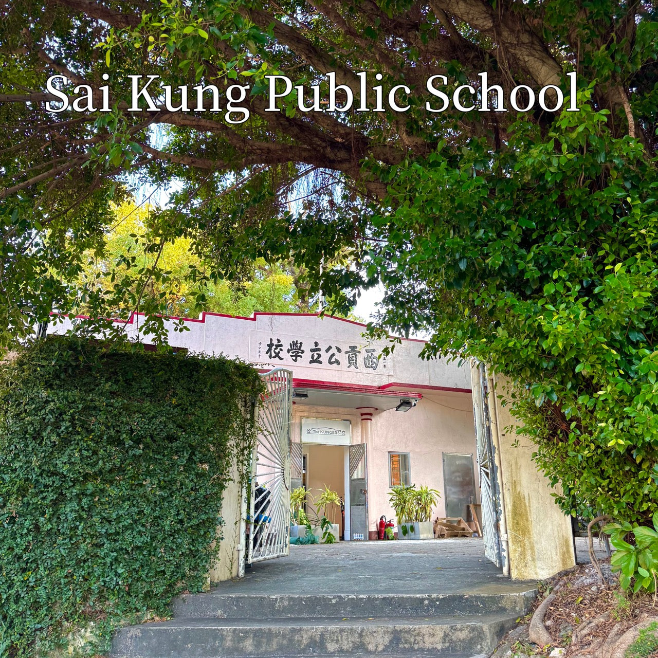 TST to Sai Kung Day Tour by Shuttle: City Walk + 4 hours Geopark Yacht Cruise