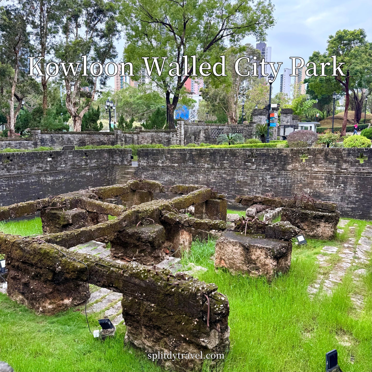 TST to Sai Kung Day Tour by Shuttle: City Walk + 4 hours Geopark Yacht Cruise