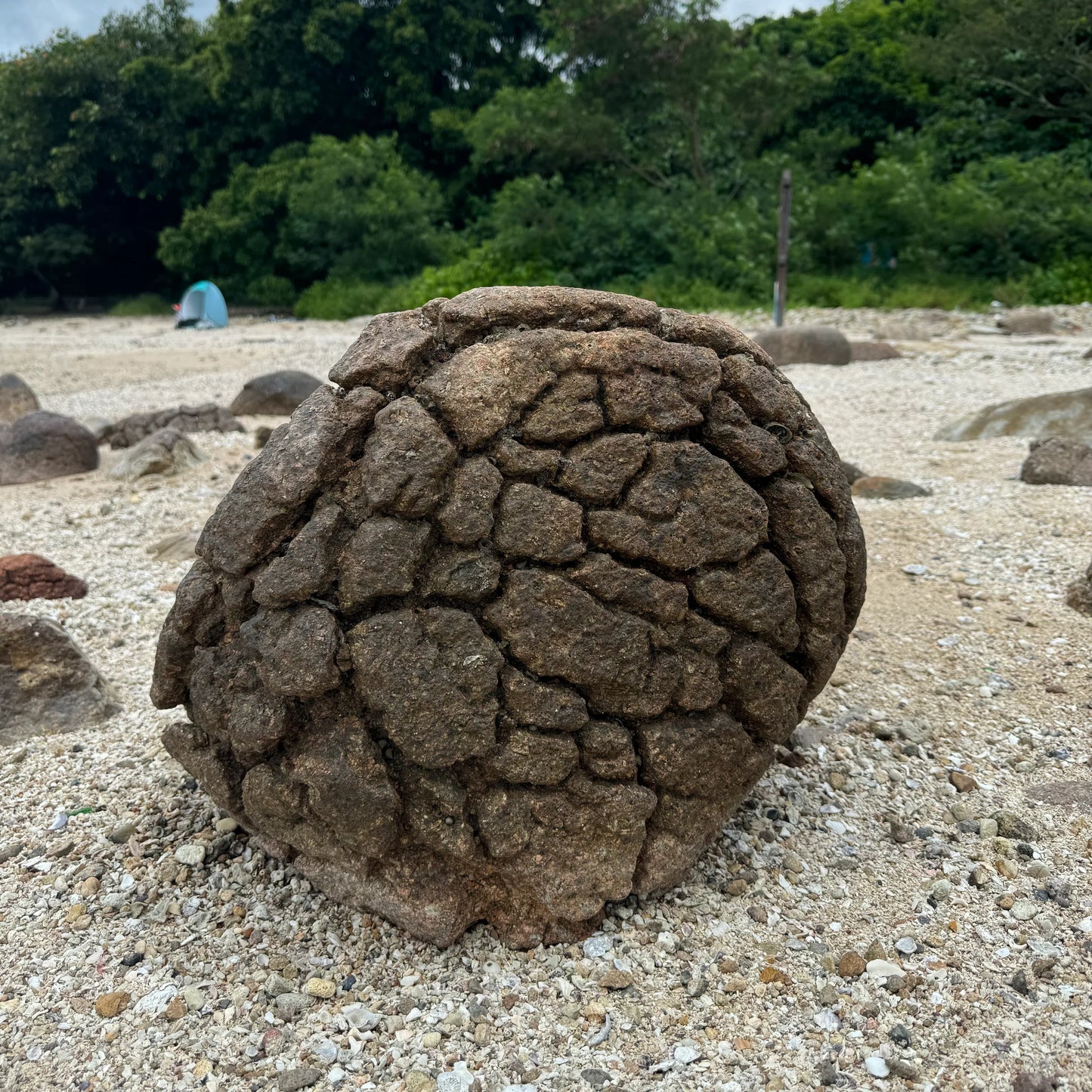 (HK) Sharp Island West Snorkeling Tour