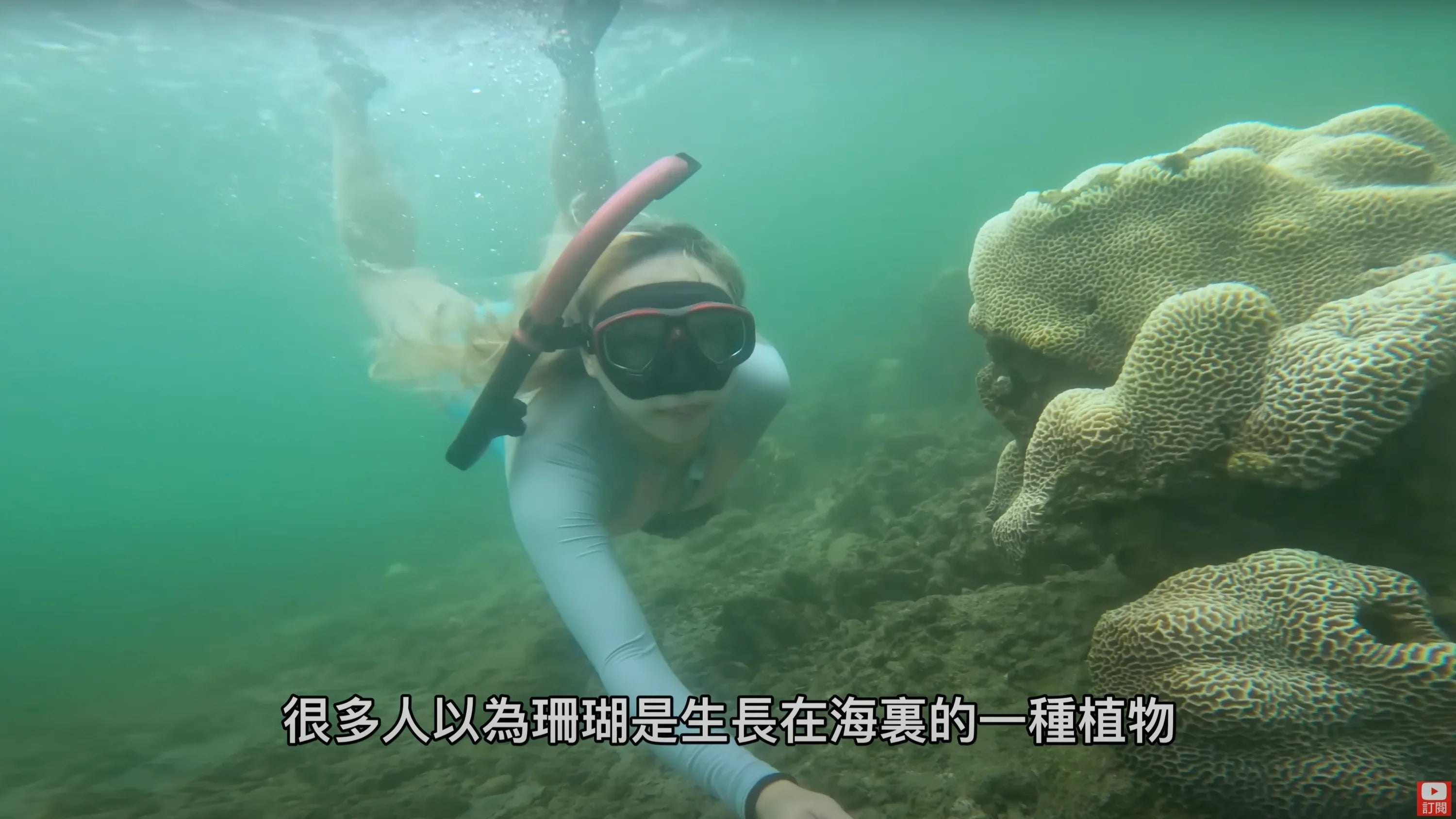 載入影片：https://www.youtube.com/watch?v=_REhSkLebOY