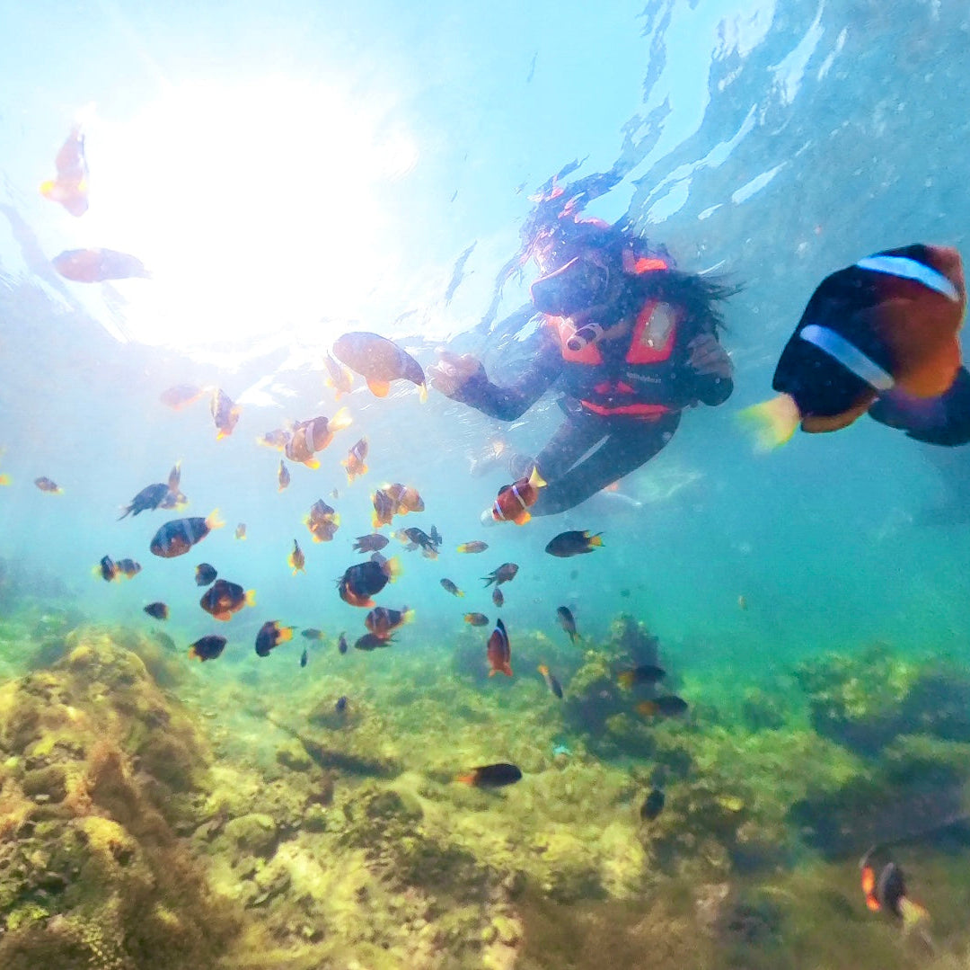 (HK) NEMO Clownfish Snorkelling Guided Tour